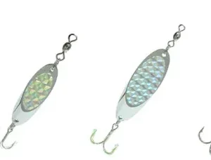 Dennett - CASTING WEDGES